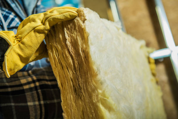 Best Cellulose Insulation in Hewitt, TX